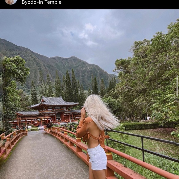 Superdown brand backless long sleeve. - Picture 2 of 4